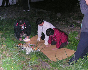 土葬のお墓を祭礼